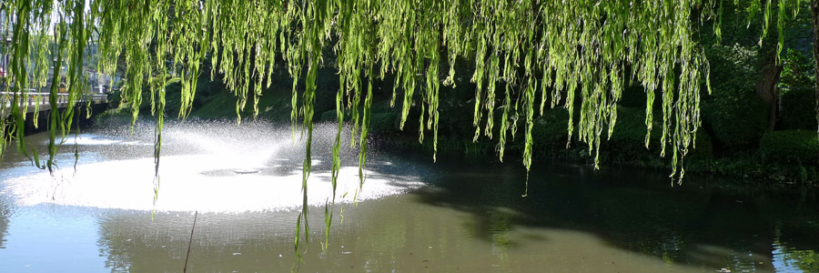盛岡城跡公園の池