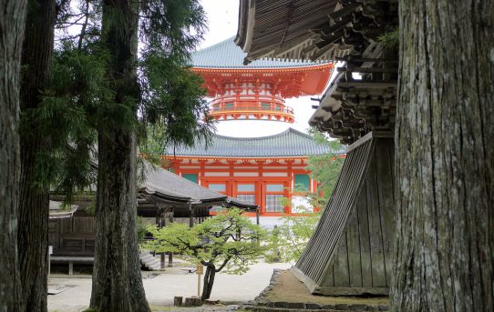 世界遺産 高野山