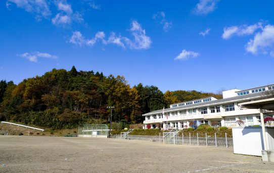 ヤギのリンと真っ青な空