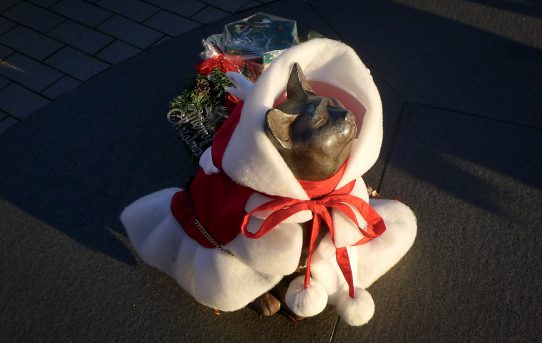 クリスマスの再会