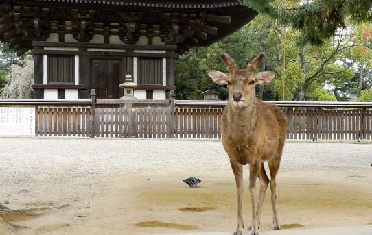 阿修羅と向き合う10分間