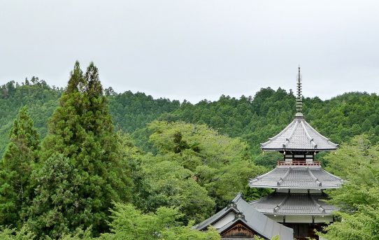 桜なき吉野を訪ねて