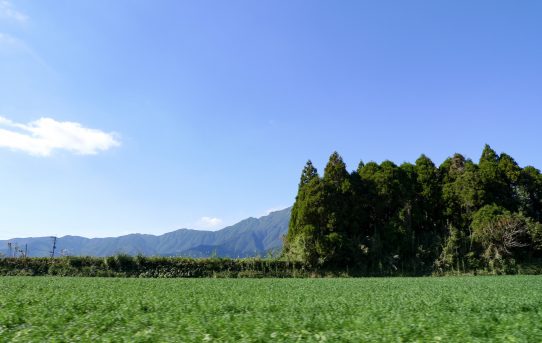 天降川小学校と鹿屋東中学校を訪ねました