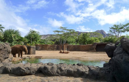 ホノルルの動物園と水族館