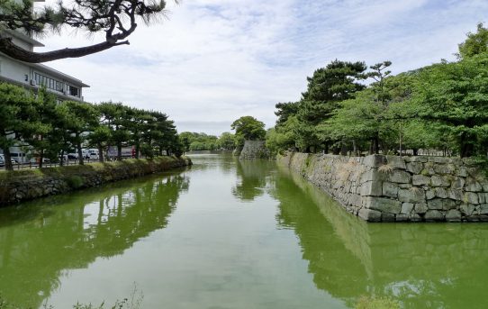 和歌山城散歩