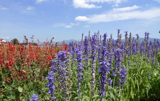 秋田県内なのに200㎞移動