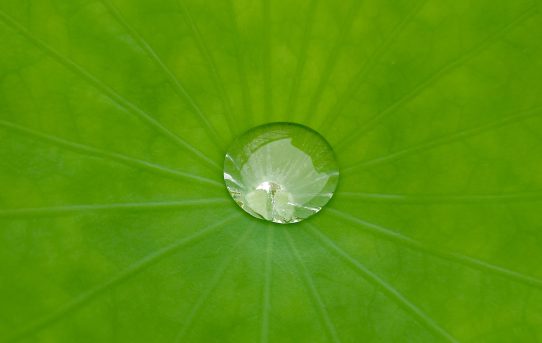 「音楽のたのしみ」で梅雨を心地よく