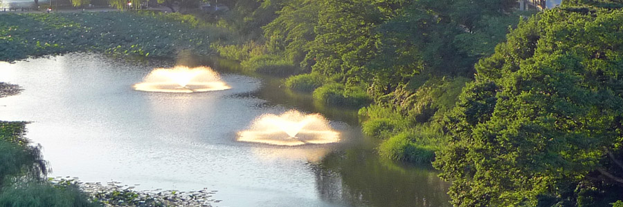 千秋公園の噴水