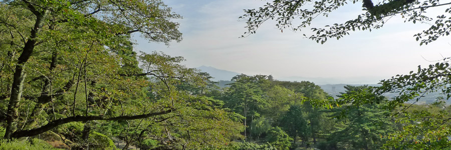 千秋公園の緑