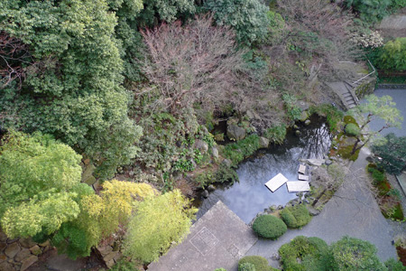 バルコニーから見下ろす庭園