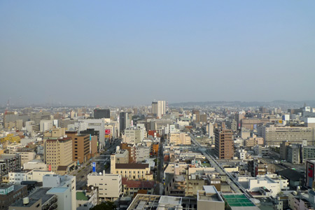 客室からの眺め