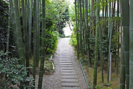 竹の道