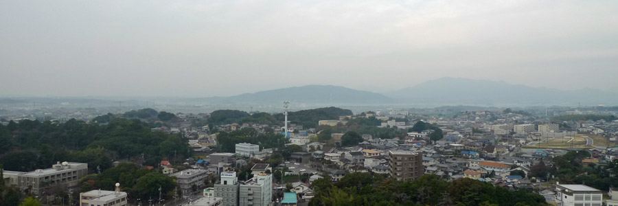 客室からの眺め