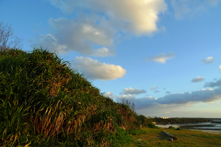 海岸