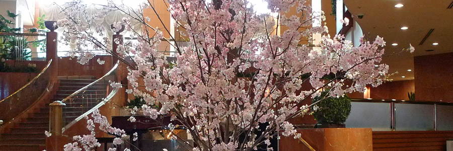 ロビーの桜